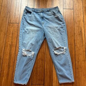 American Eagle Distressed Light Blue Mom Jeans